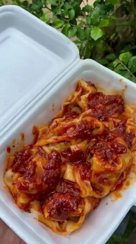 Wonton